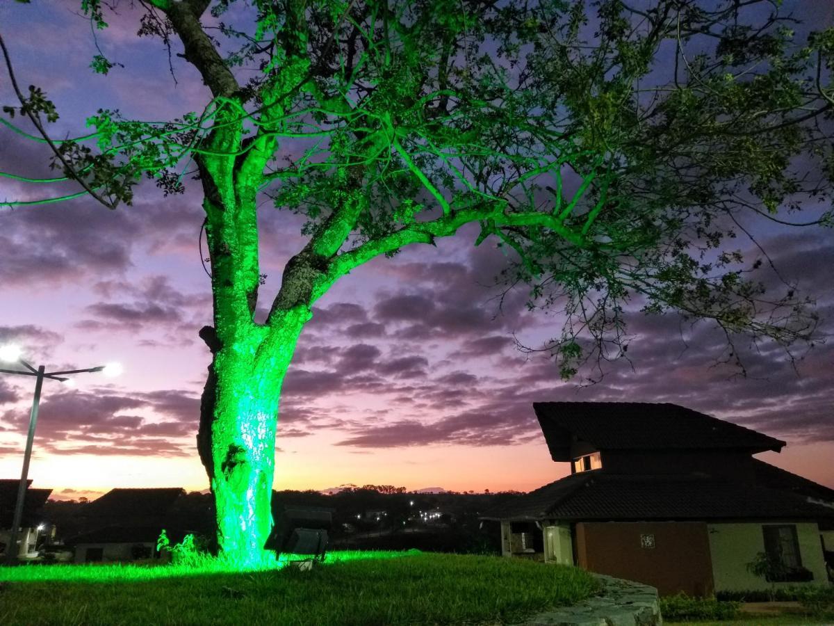 Winterville Flat 213 Gravata  Bagian luar foto